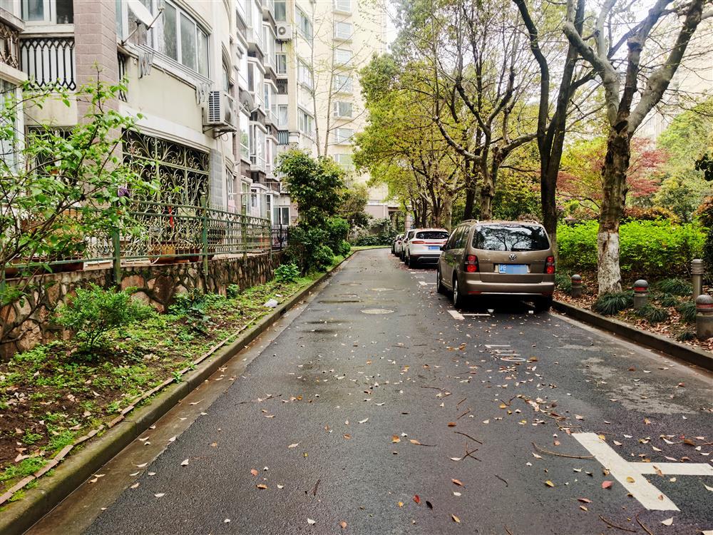 上海一小区近40%地面车位被固定,停车矛盾加剧,有车主