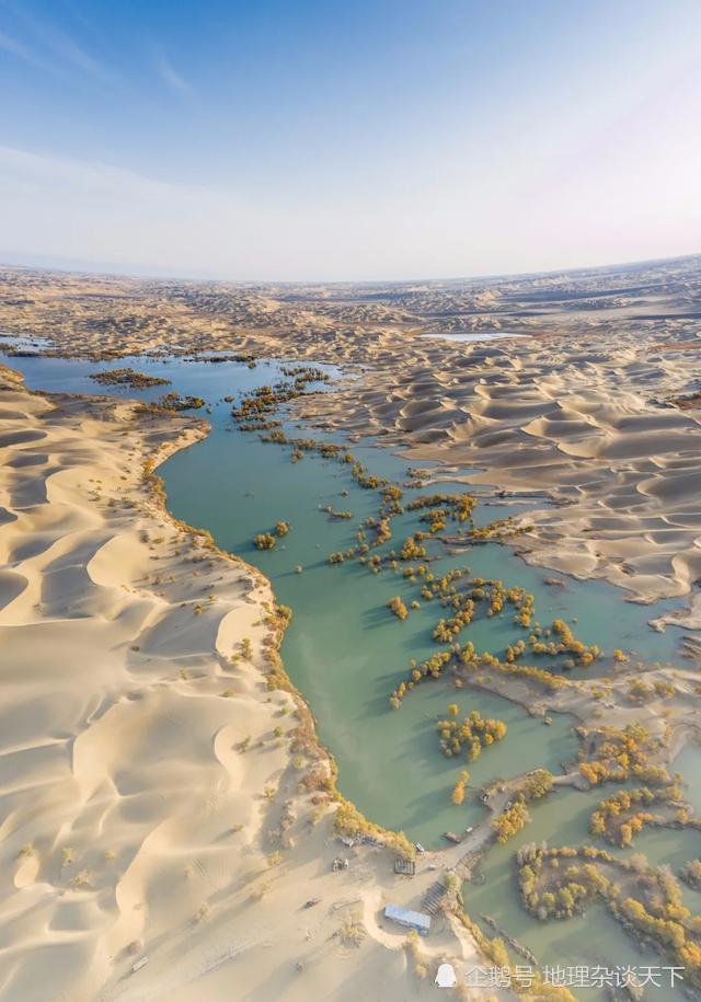 塔里木河|新疆|塔里木盆地|塔克拉玛干沙漠|沙漠|胡杨林