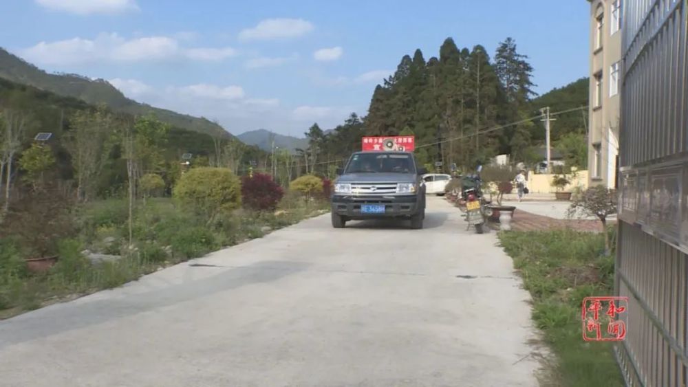 头条崎岭乡桂竹村守住23000多亩生态林乐享绿色生态福利