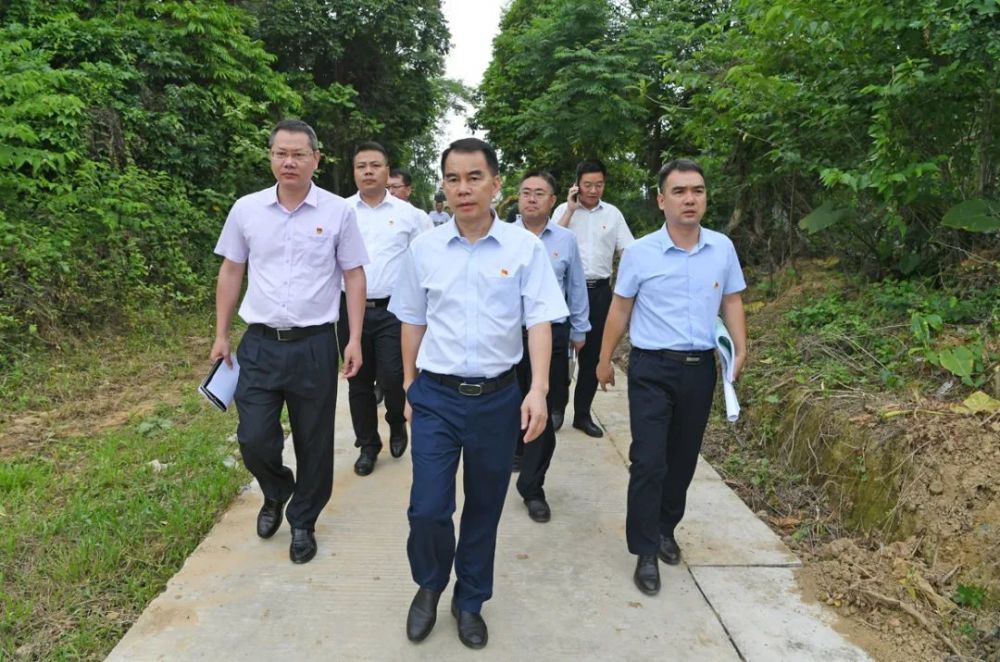 阳春市领导检查河长制工作