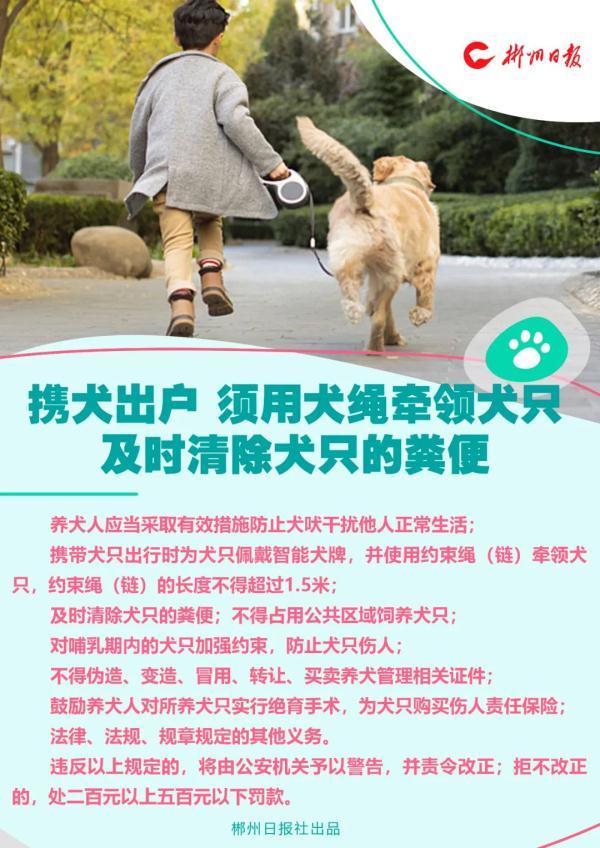养犬不再任性!郴州拟最高罚款5000元!