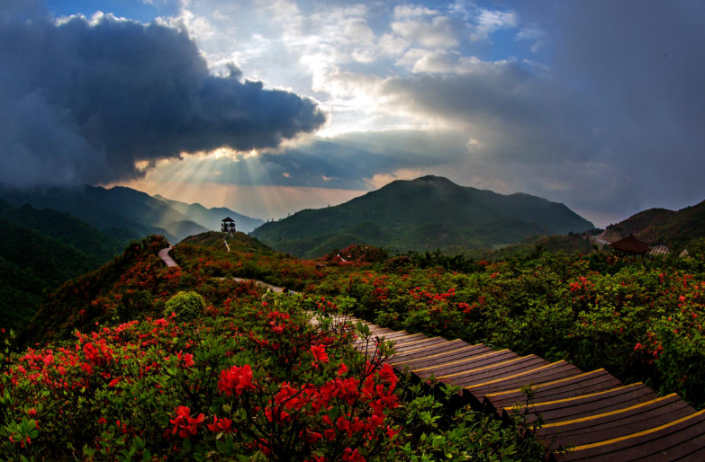 第十三届长沙(浏阳)大围山杜鹃花节推介会