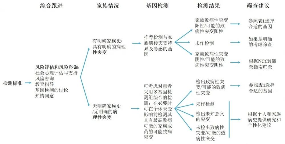 基因检测流程图