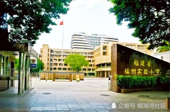 2021年 福建省福州市小学综合排名top10