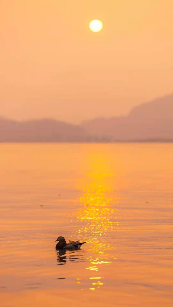 背景图|落日余晖,夕阳无限好
