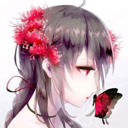 彼岸花 图片