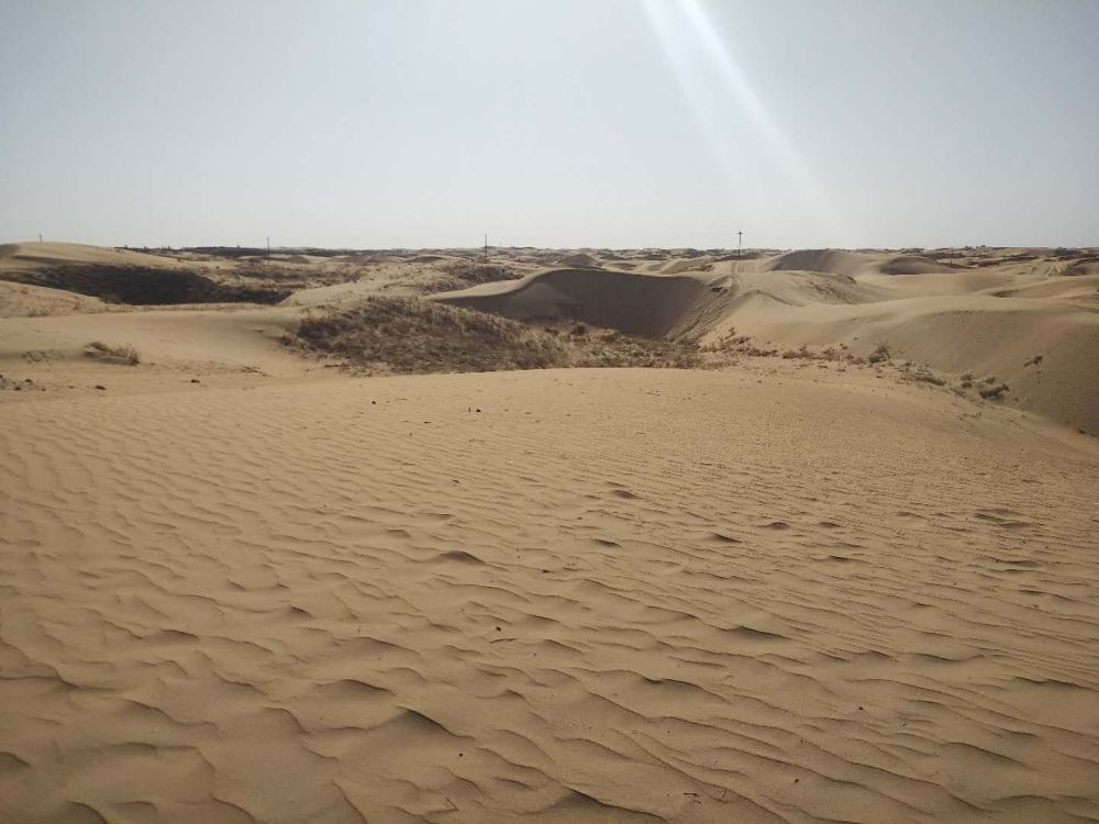大漠,黄沙与天鹅