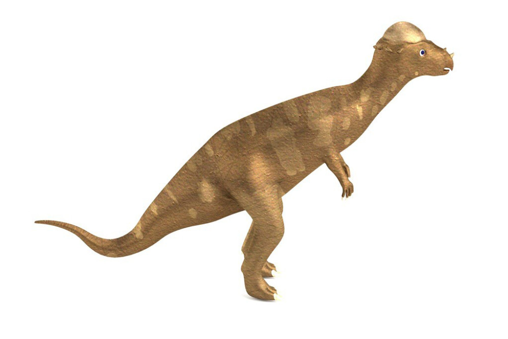 白垩纪的高手肿头龙,擅长野蛮冲撞与铁头功,为数不多的杂食恐龙