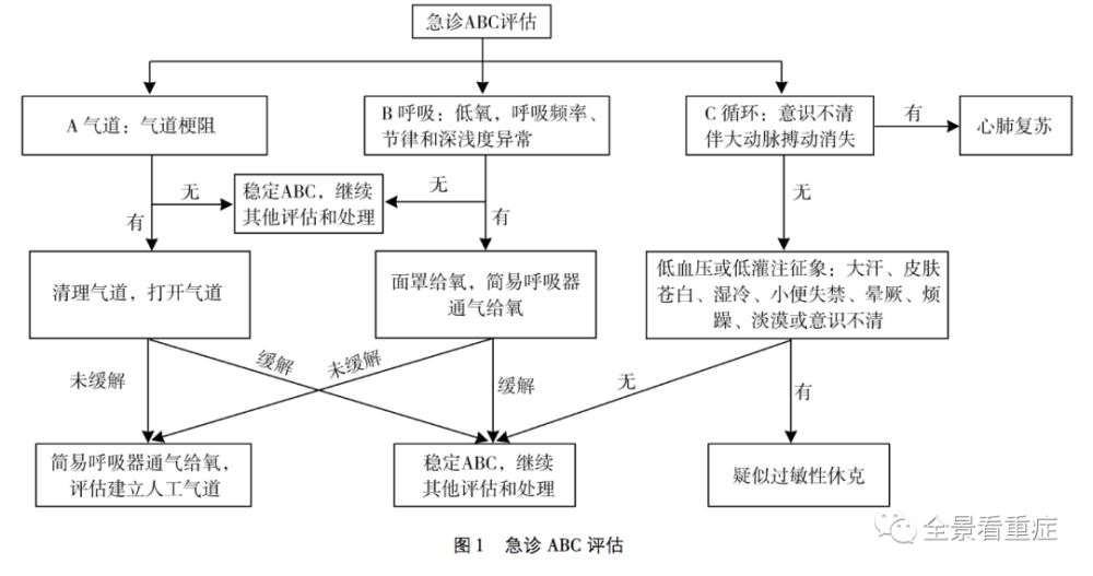 (1)急性严重过敏反应   过敏性休克