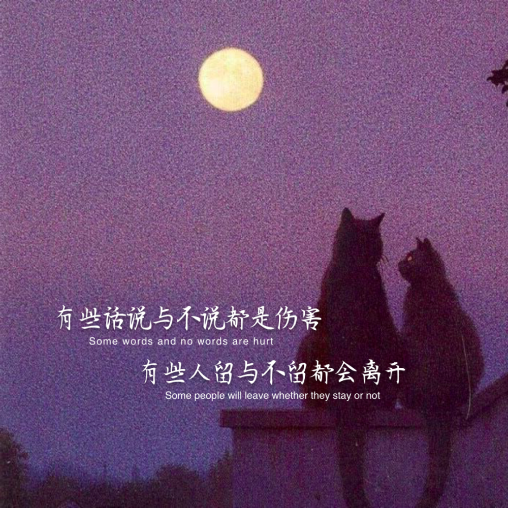 "只想念 不联系 只关注 不打扰"
