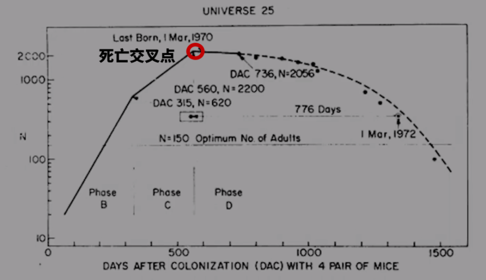 预言了人类结局的实验——老鼠乌托邦