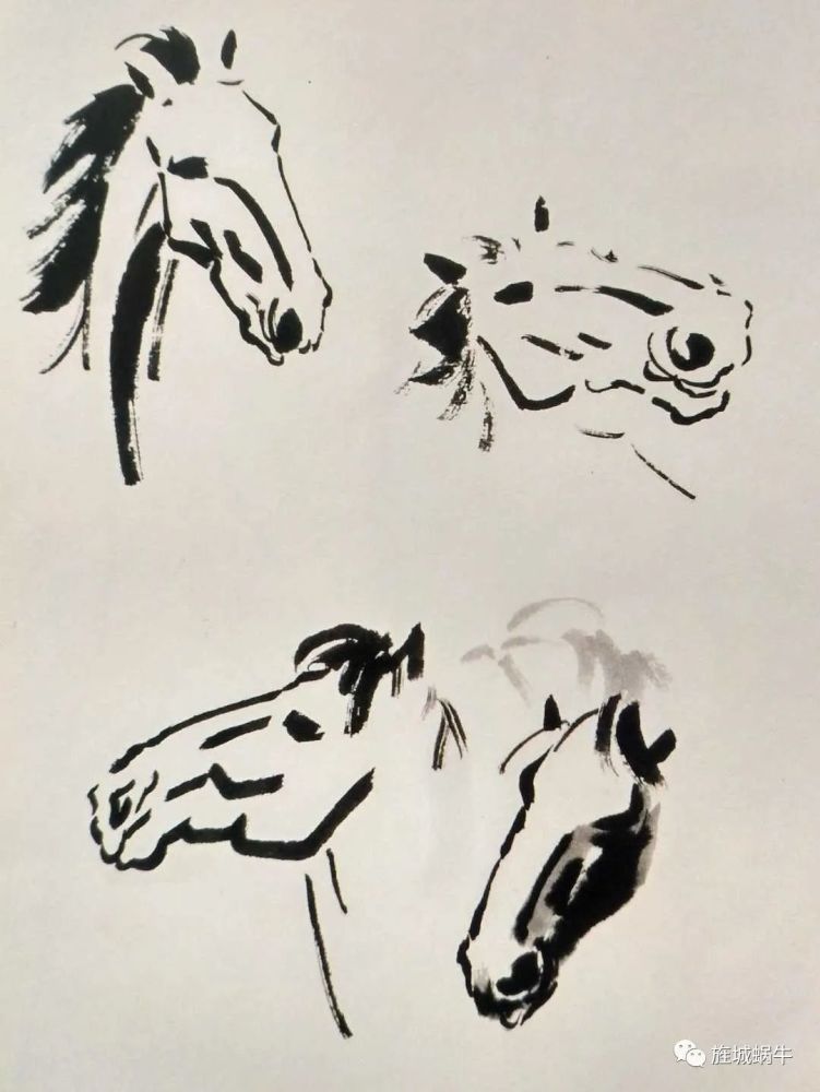 辛苦找来的徐悲鸿画马步骤,一起来学习吧