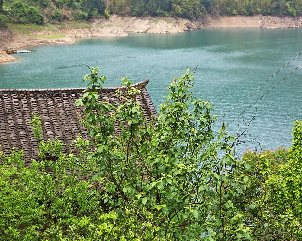 重庆北碚区胜天湖——湖湾曲折的人工湖