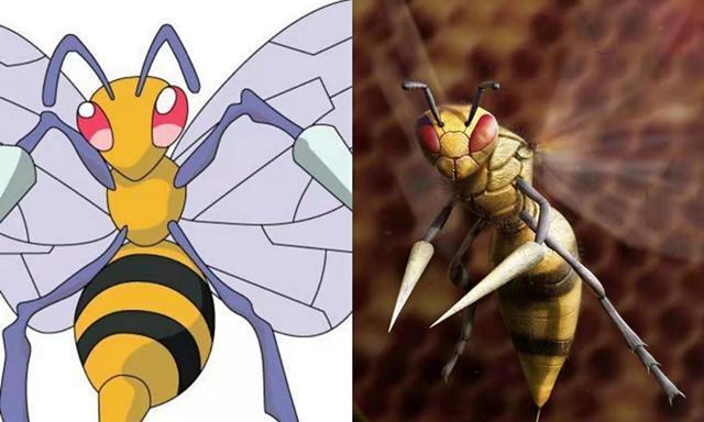 宝可梦现实化,嘎啦嘎啦是货真价实的现实生物,大针蜂真是蜜蜂