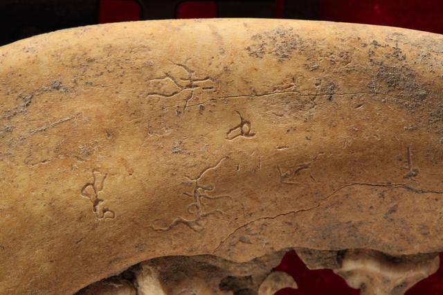 考古学家在贾湖遗址中发现了贾湖刻符,这距今约七千年历史的文字雏形