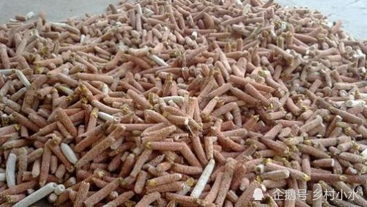 为什么现在有人会到农村收玉米芯玉米芯有什么用