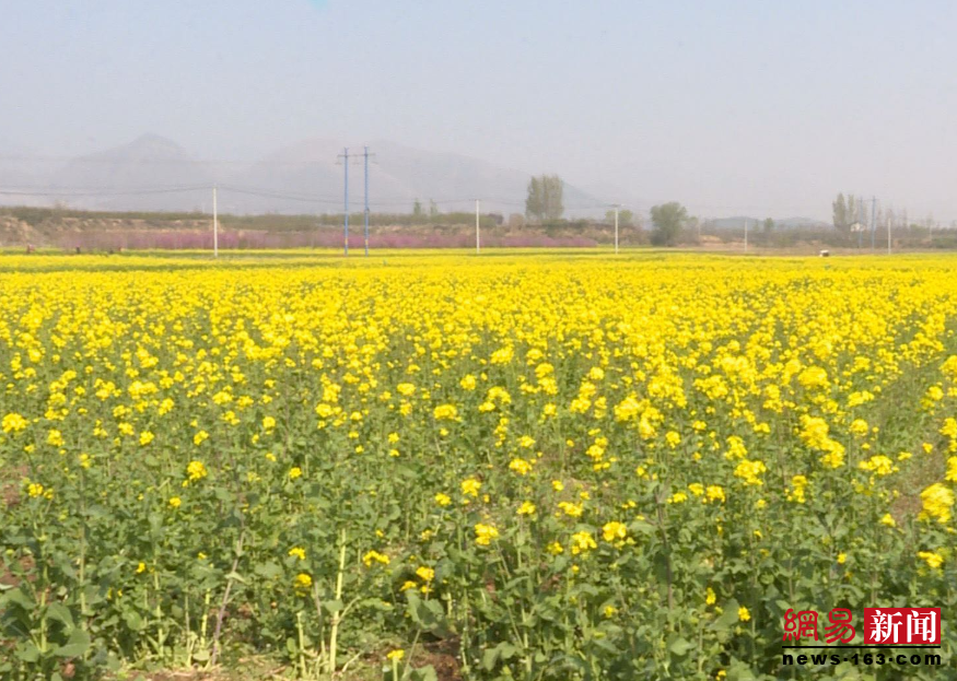 河北易县狼牙山:春光无限 畅游花海