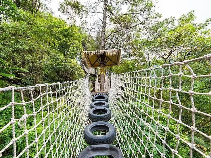 佛山61南丹山森林王国北回归线上的绿宝石林间探险徒步吸氧近距离