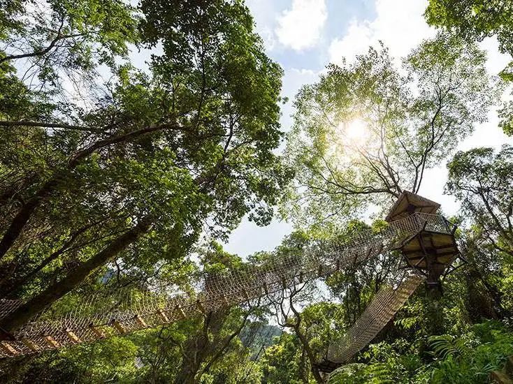 佛山61南丹山森林王国北回归线上的绿宝石林间探险徒步吸氧近距离