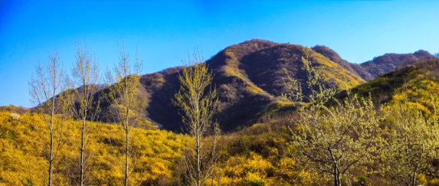 三门峡:雁翎关,百里金山,刷爆朋友圈!