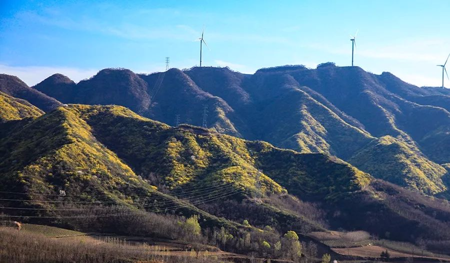 三门峡:雁翎关,百里金山,刷爆朋友圈!