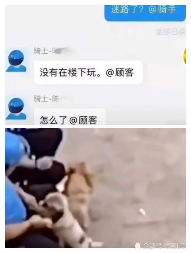 骑手和顾客的搞笑聊天记录