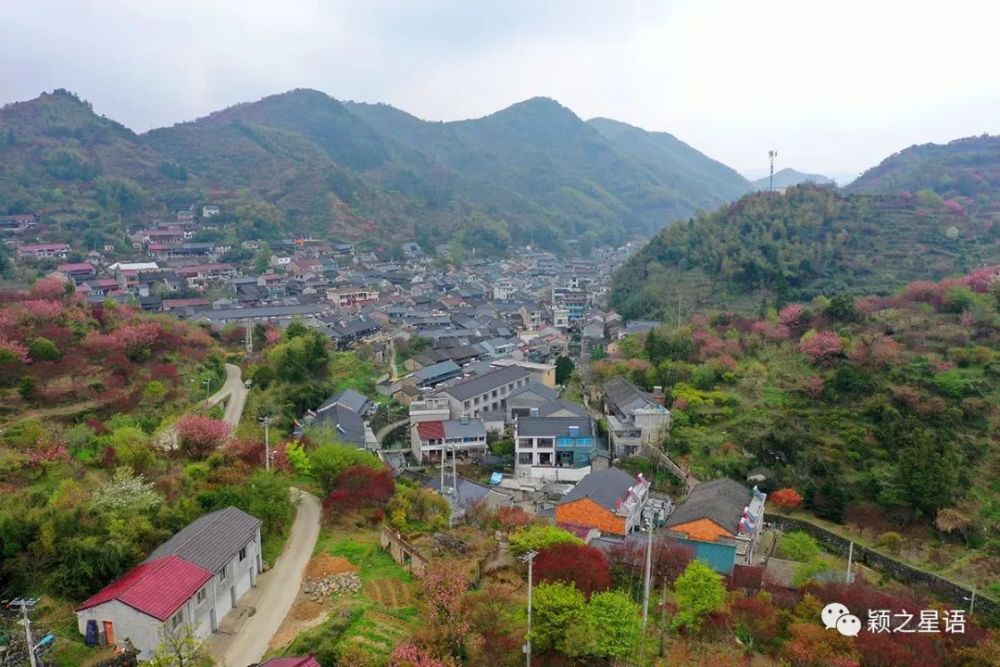 唐诗之路唐田村,漫山遍野樱花红枫,天上人间