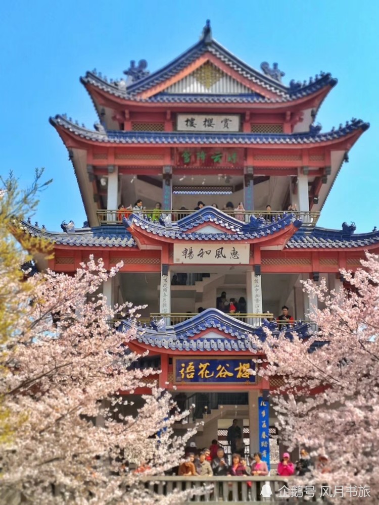 赏樱楼枕山面水,高三层,耸峙于赏樱台之上,蓝瓦覆顶,飞檐翘角,庄重