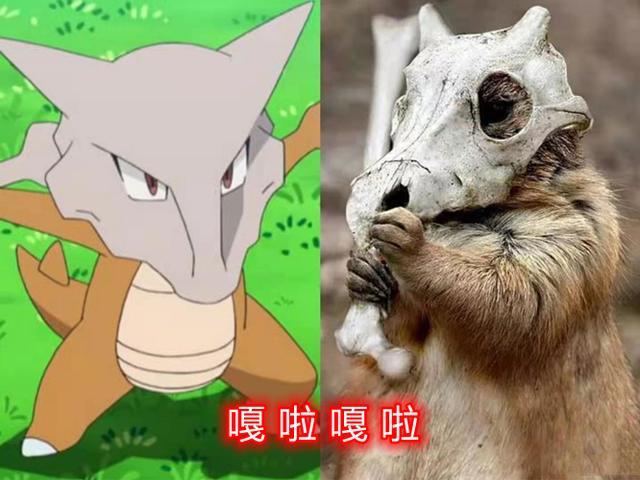 宝可梦现实化,嘎啦嘎啦是货真价实的现实生物,大针蜂真是蜜蜂