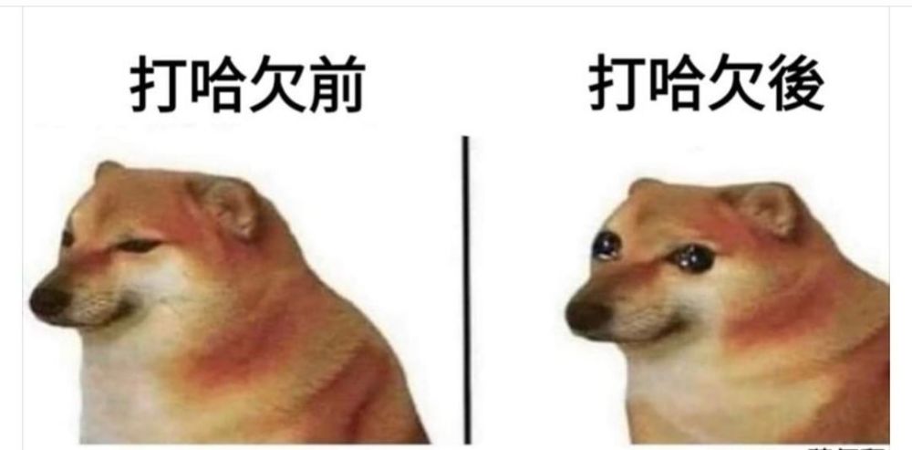 1.没错就是我