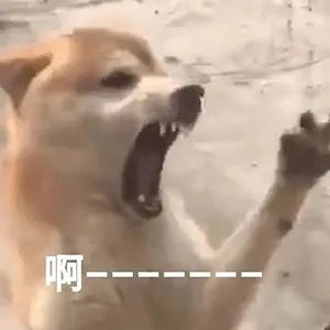 套路微信表情包:我一拳下去你可能会死