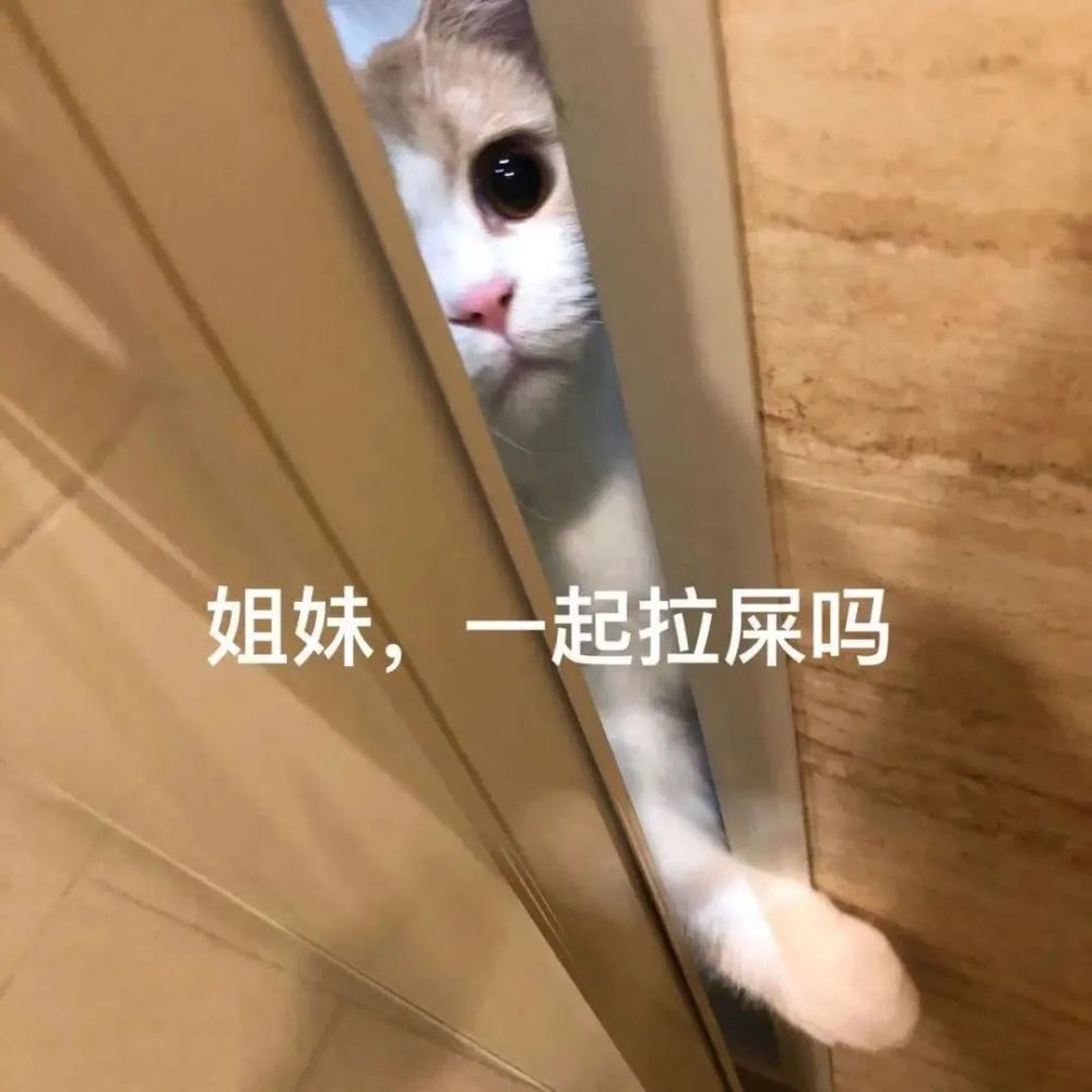 套路微信表情包:我是小螃蟹,我没钳(钱)啦