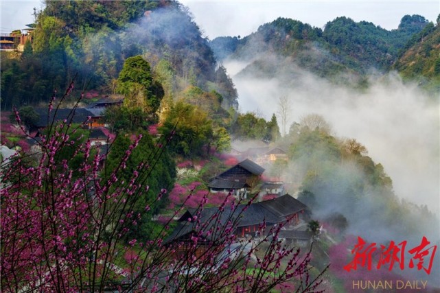 新湖南客户端4月8日讯(通讯员 杨嘉锟)近日,由中共中央《求是》杂志社