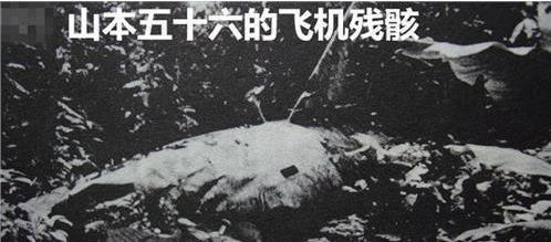 山本五十六是怎么死的?