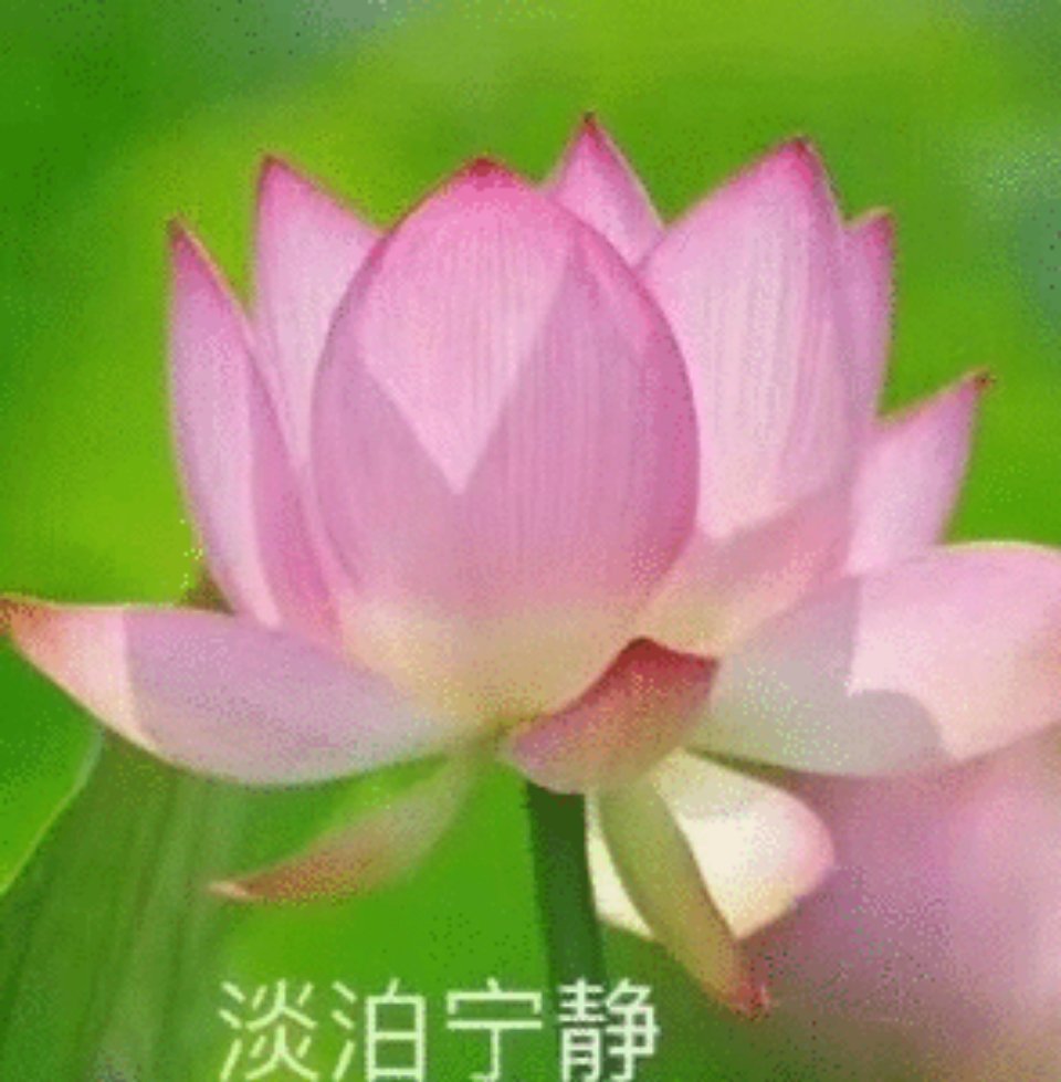 还上新头像混入家长群