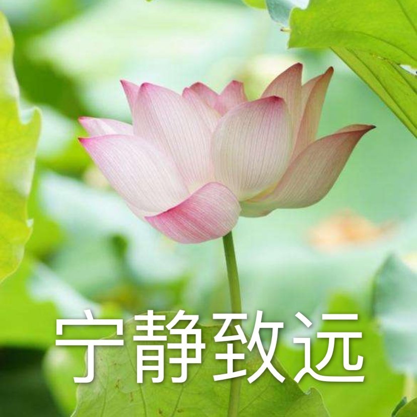 还上新头像混入家长群