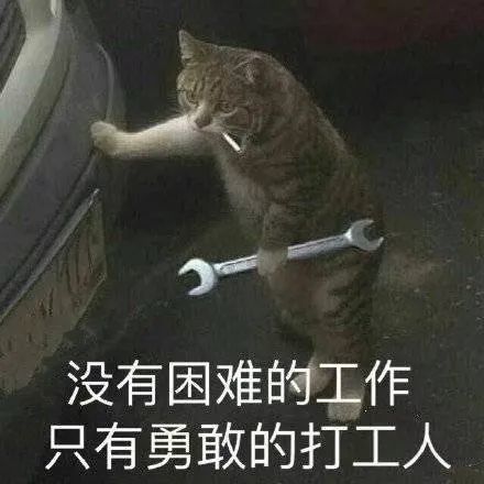 表情包|笑而不语