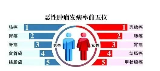 32岁的栖霞姑娘,为何会得癌症?