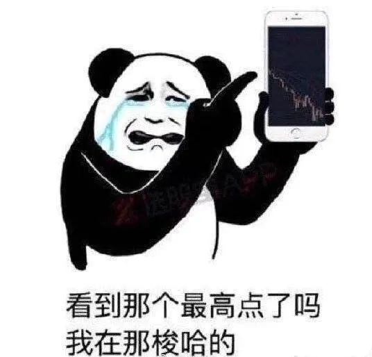 苦中作乐丨分享一波基金理财表情包