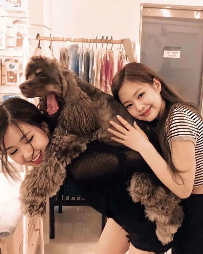 jennie&rosé肉泥cp美图