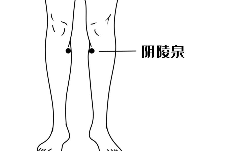 阴陵泉:祛湿,瘦小腿