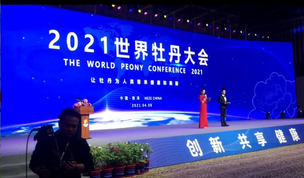 菏泽"两会一节"丨让世界爱上菏泽牡丹!2021世界牡丹大会开