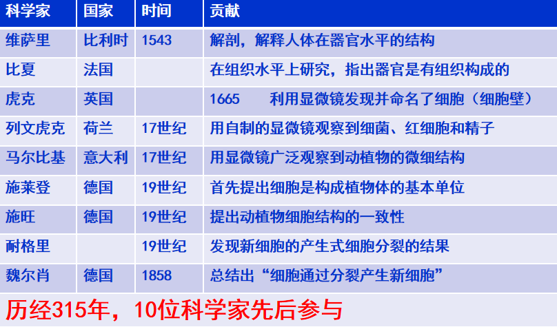 细胞学说的建立是一个漫长的过程,它是好几代科学家共同的心血 施莱登