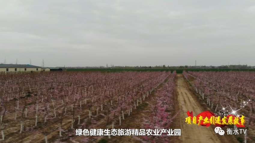 故城县gdp_故城县地图(2)
