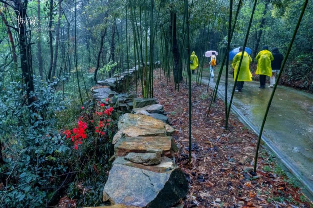 汉口竹叶山—岱黄高速—黄陂转盘第二个出口黄陂大道—火塔线—野村谷