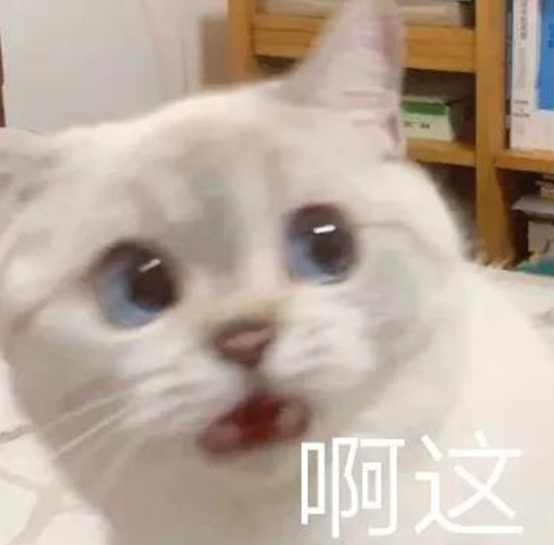 头像表情包丨是沙雕猫咪在大叫啊!