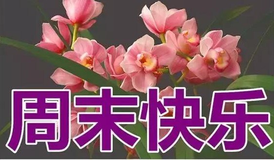周末愉快的句子