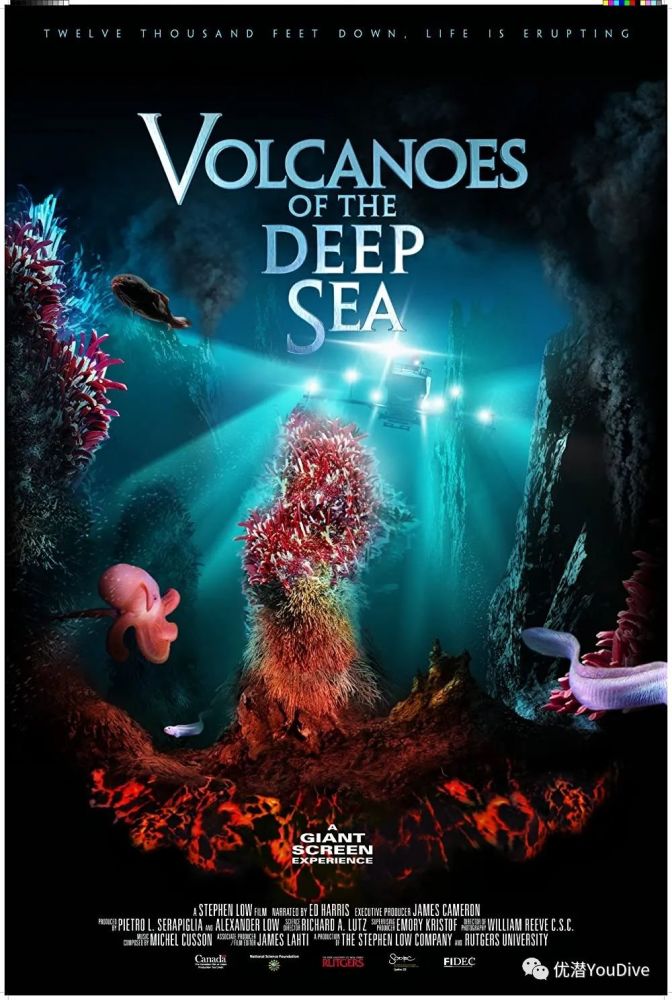 这五部关于海洋的经典纪录片,揭露深海奥秘!百看不厌!