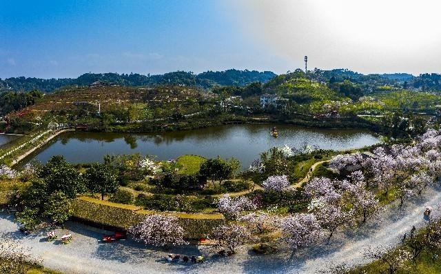 巴南区天坪山云林天乡景区.图/冯亚宏