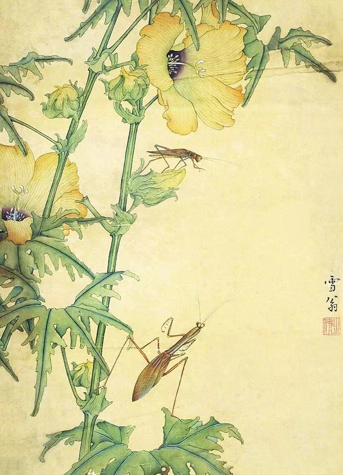 工笔画大师陈之佛的花鸟作品